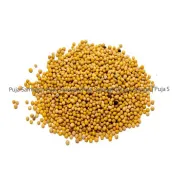 Kirana:- Yellow Mustard Seed/Sarsyo (सर्स्यो) 100g